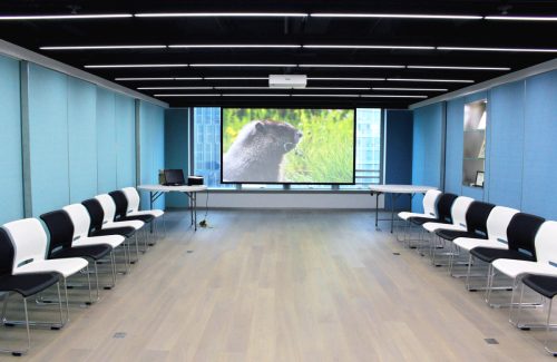 Projection System| Audio System